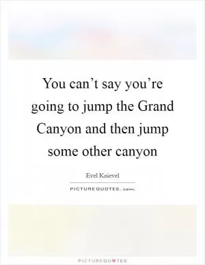 You can’t say you’re going to jump the Grand Canyon and then jump some other canyon Picture Quote #1