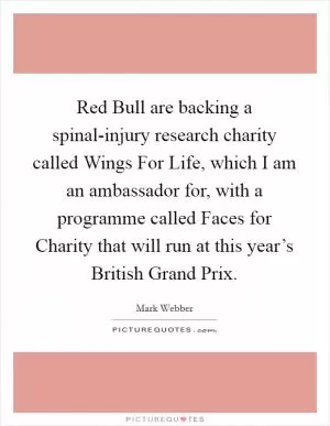 Red Bull are backing a spinal-injury research charity called Wings For Life, which I am an ambassador for, with a programme called Faces for Charity that will run at this year’s British Grand Prix Picture Quote #1