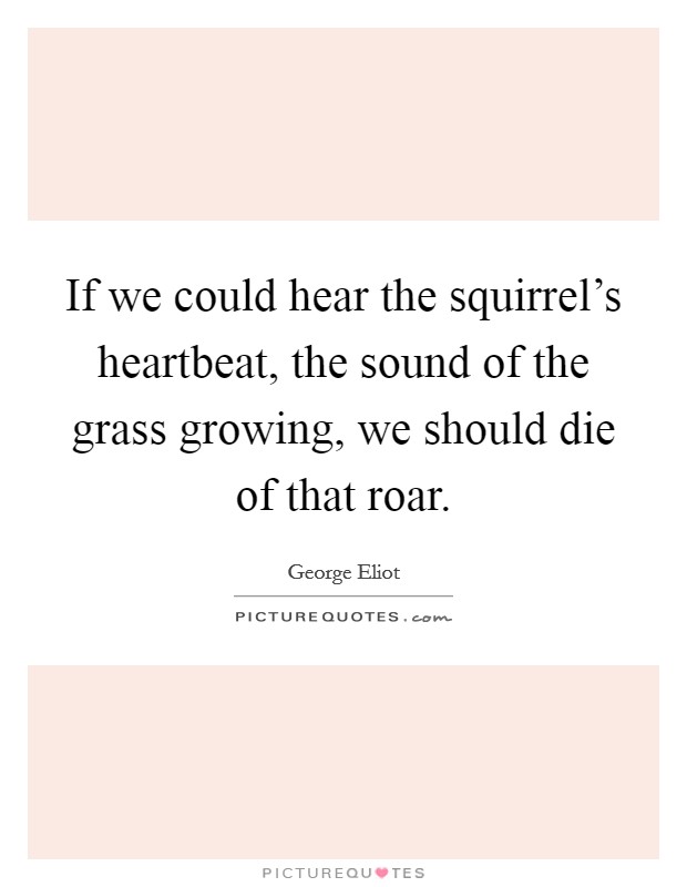 If we could hear the squirrel's heartbeat, the sound of the grass growing, we should die of that roar. Picture Quote #1