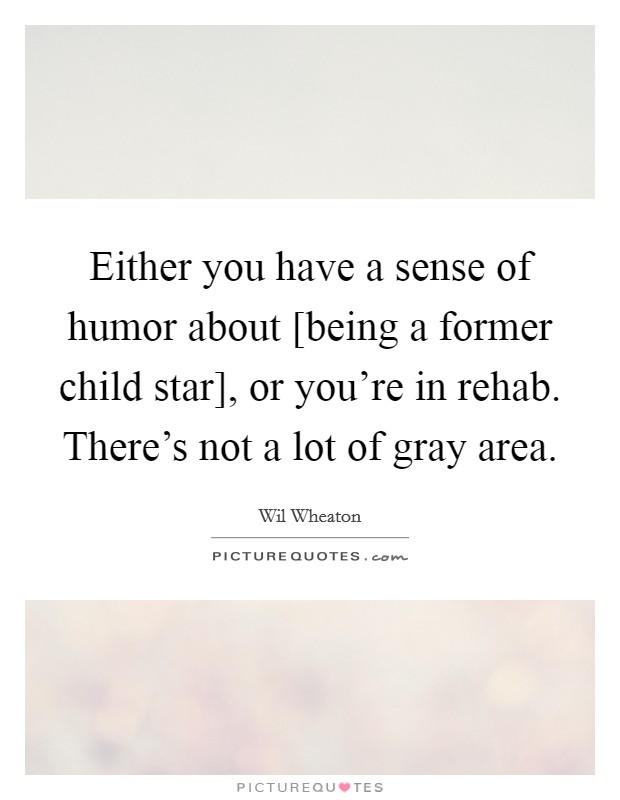 Either you have a sense of humor about [being a former child star], or you're in rehab. There's not a lot of gray area. Picture Quote #1