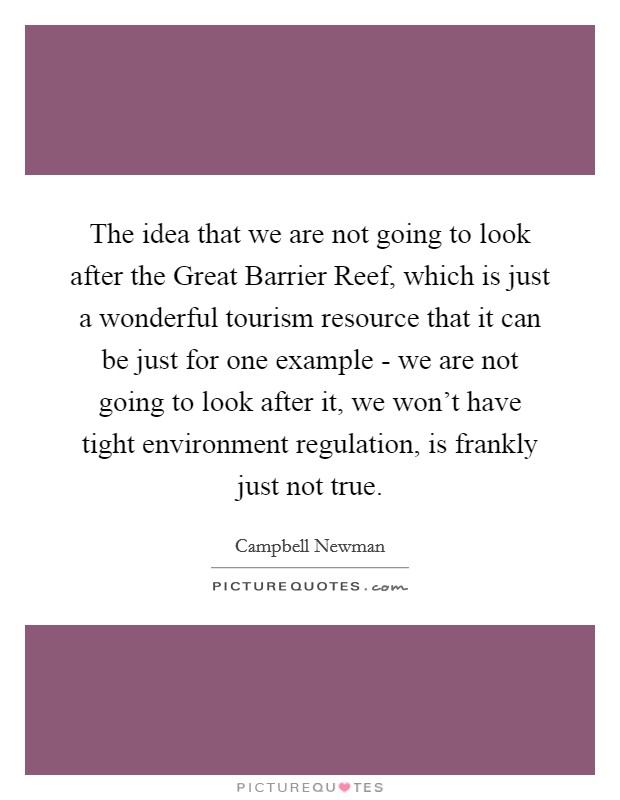 The idea that we are not going to look after the Great Barrier Reef, which is just a wonderful tourism resource that it can be just for one example - we are not going to look after it, we won't have tight environment regulation, is frankly just not true. Picture Quote #1