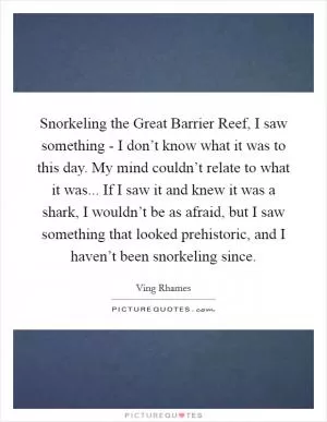 Snorkeling the Great Barrier Reef, I saw something - I don’t know what it was to this day. My mind couldn’t relate to what it was... If I saw it and knew it was a shark, I wouldn’t be as afraid, but I saw something that looked prehistoric, and I haven’t been snorkeling since Picture Quote #1