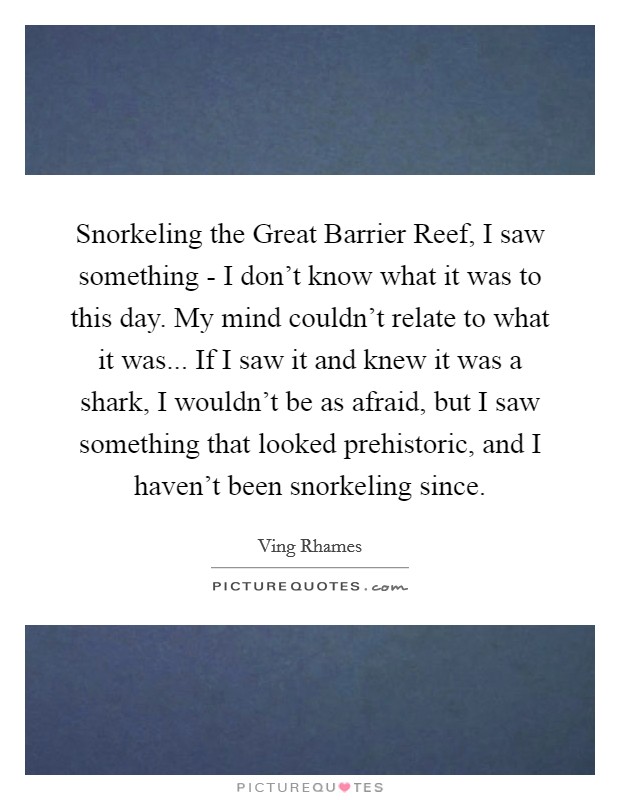 Snorkeling the Great Barrier Reef, I saw something - I don't know what it was to this day. My mind couldn't relate to what it was... If I saw it and knew it was a shark, I wouldn't be as afraid, but I saw something that looked prehistoric, and I haven't been snorkeling since. Picture Quote #1
