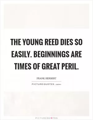 The young reed dies so easily. Beginnings are times of great peril Picture Quote #1