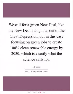 We call for a green New Deal, like the New Deal that got us out of the Great Depression, but in this case focusing on green jobs to create 100% clean renewable energy by 2030, which is exactly what the science calls for Picture Quote #1