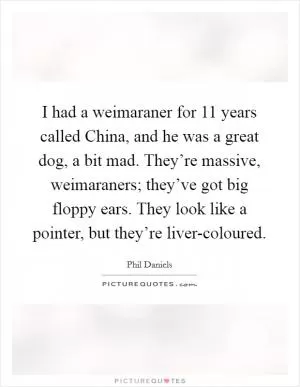 I had a weimaraner for 11 years called China, and he was a great dog, a bit mad. They’re massive, weimaraners; they’ve got big floppy ears. They look like a pointer, but they’re liver-coloured Picture Quote #1