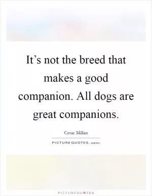 It’s not the breed that makes a good companion. All dogs are great companions Picture Quote #1