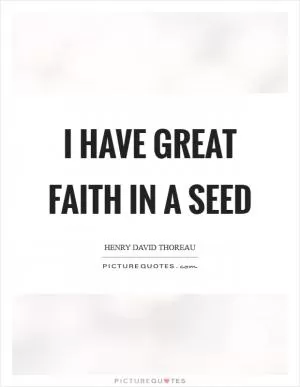 I have great faith in a seed Picture Quote #1