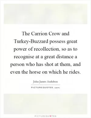 The Carrion Crow and Turkey-Buzzard possess great power of recollection, so as to recognise at a great distance a person who has shot at them, and even the horse on which he rides Picture Quote #1