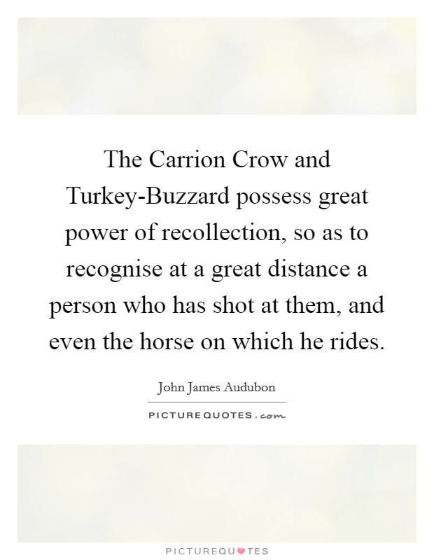 The Carrion Crow and Turkey-Buzzard possess great power of recollection, so as to recognise at a great distance a person who has shot at them, and even the horse on which he rides. Picture Quote #1