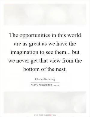 The opportunities in this world are as great as we have the imagination to see them... but we never get that view from the bottom of the nest Picture Quote #1