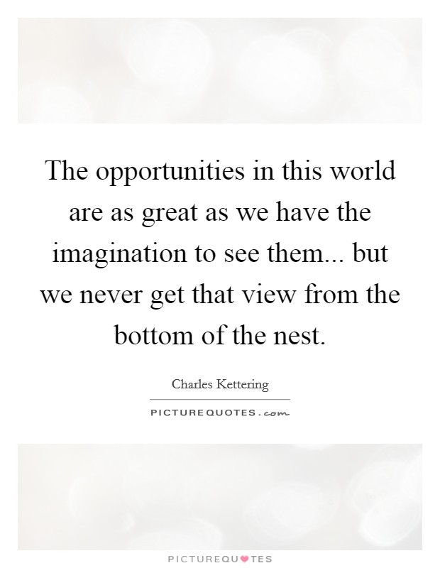 The opportunities in this world are as great as we have the imagination to see them... but we never get that view from the bottom of the nest. Picture Quote #1