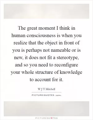 The great moment I think in human consciousness is when you realize that the object in front of you is perhaps not nameable or is new, it does not fit a stereotype, and so you need to reconfigure your whole structure of knowledge to account for it Picture Quote #1