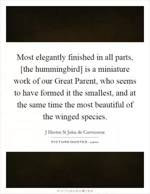 Most elegantly finished in all parts, [the hummingbird] is a miniature work of our Great Parent, who seems to have formed it the smallest, and at the same time the most beautiful of the winged species Picture Quote #1