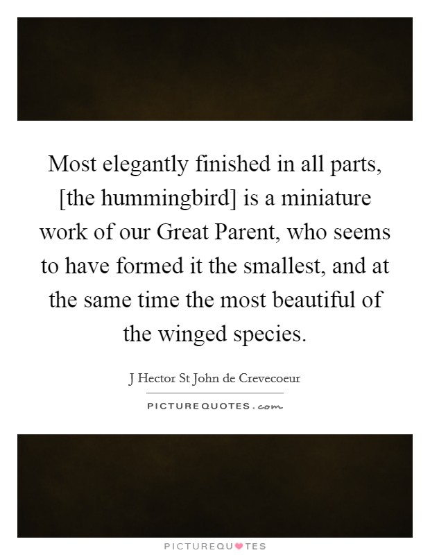 Most elegantly finished in all parts, [the hummingbird] is a miniature work of our Great Parent, who seems to have formed it the smallest, and at the same time the most beautiful of the winged species. Picture Quote #1