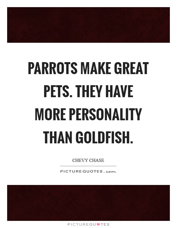 Parrots make great pets. They have more personality than goldfish. Picture Quote #1