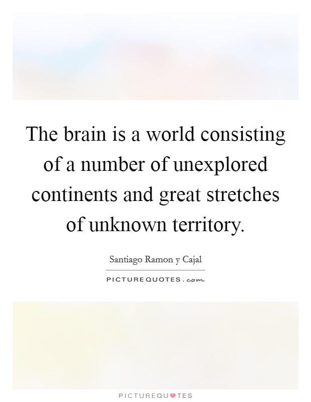 The brain is a world consisting of a number of unexplored continents and great stretches of unknown territory. Picture Quote #1