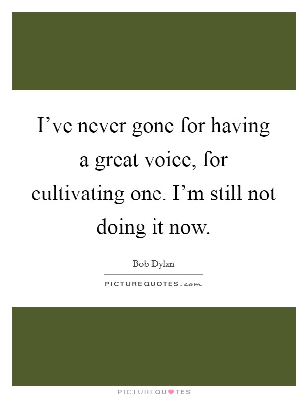 I've never gone for having a great voice, for cultivating one. I'm still not doing it now. Picture Quote #1