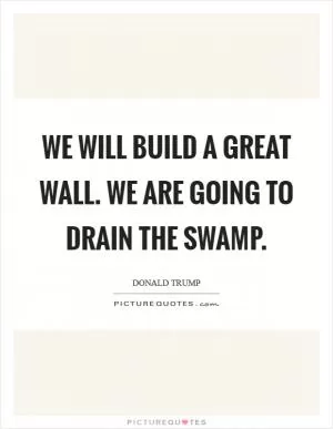 We will build a great wall. We are going to drain the swamp Picture Quote #1