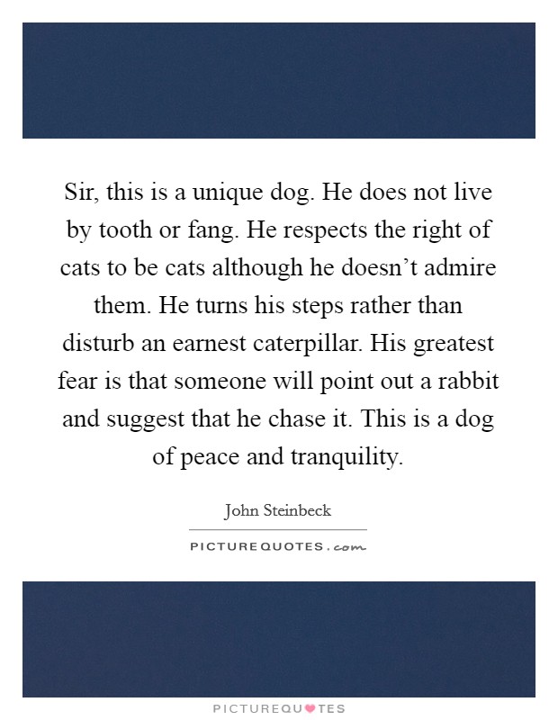 Sir, this is a unique dog. He does not live by tooth or fang. He respects the right of cats to be cats although he doesn't admire them. He turns his steps rather than disturb an earnest caterpillar. His greatest fear is that someone will point out a rabbit and suggest that he chase it. This is a dog of peace and tranquility. Picture Quote #1