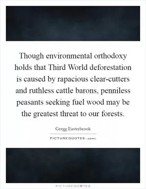 Though environmental orthodoxy holds that Third World deforestation is caused by rapacious clear-cutters and ruthless cattle barons, penniless peasants seeking fuel wood may be the greatest threat to our forests Picture Quote #1