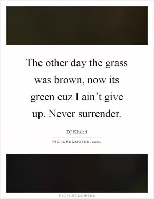 The other day the grass was brown, now its green cuz I ain’t give up. Never surrender Picture Quote #1