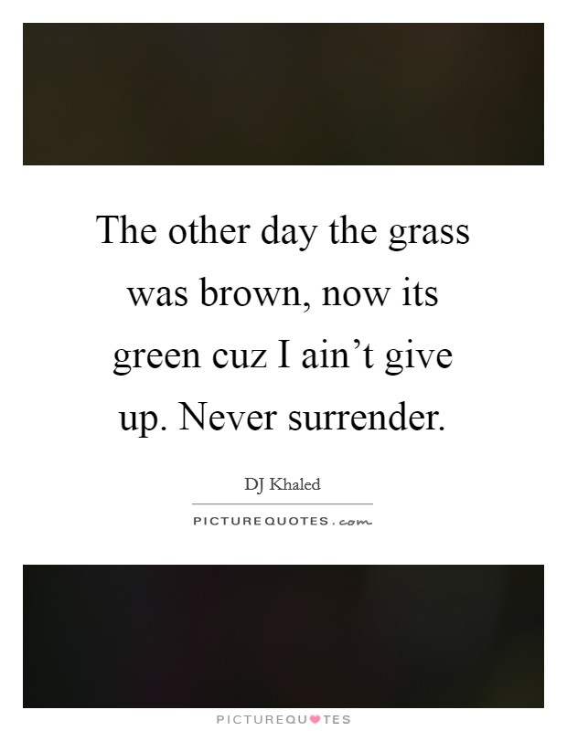 The other day the grass was brown, now its green cuz I ain't give up. Never surrender. Picture Quote #1