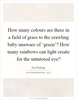 How many colours are there in a field of grass to the crawling baby unaware of ‘green’? How many rainbows can light create for the untutored eye? Picture Quote #1