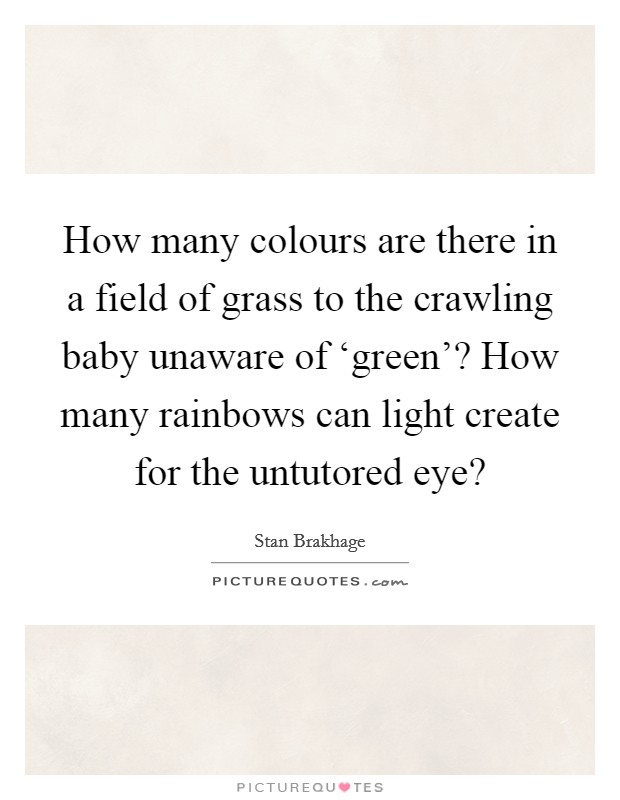 How many colours are there in a field of grass to the crawling baby unaware of ‘green'? How many rainbows can light create for the untutored eye? Picture Quote #1
