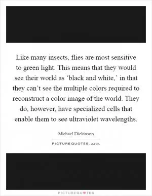 Like many insects, flies are most sensitive to green light. This means that they would see their world as ‘black and white,’ in that they can’t see the multiple colors required to reconstruct a color image of the world. They do, however, have specialized cells that enable them to see ultraviolet wavelengths Picture Quote #1