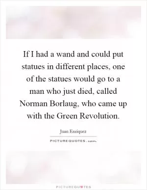 If I had a wand and could put statues in different places, one of the statues would go to a man who just died, called Norman Borlaug, who came up with the Green Revolution Picture Quote #1