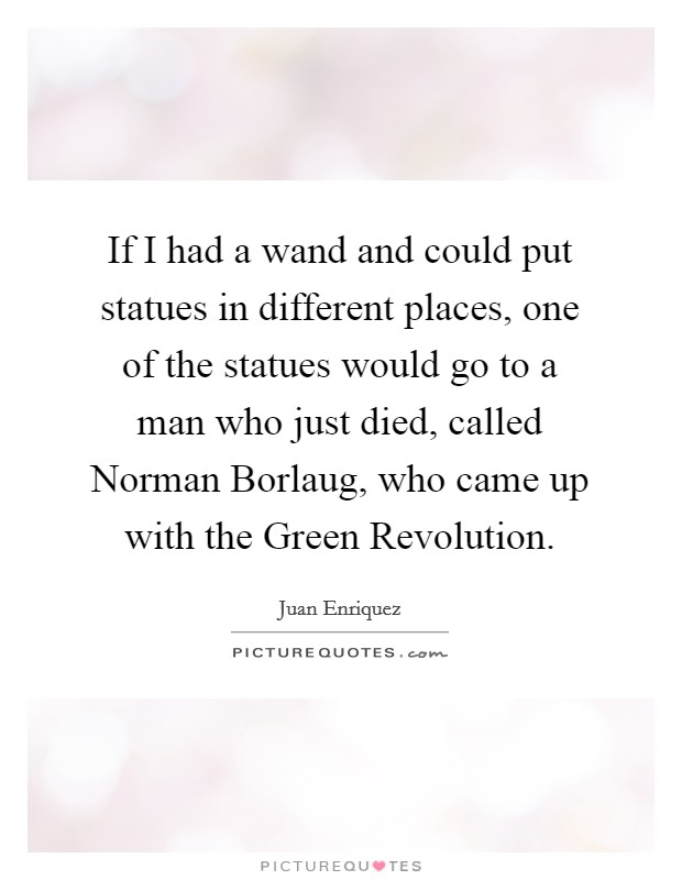 If I had a wand and could put statues in different places, one of the statues would go to a man who just died, called Norman Borlaug, who came up with the Green Revolution. Picture Quote #1