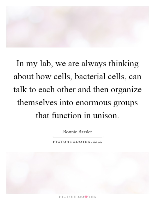 In my lab, we are always thinking about how cells, bacterial cells, can talk to each other and then organize themselves into enormous groups that function in unison. Picture Quote #1