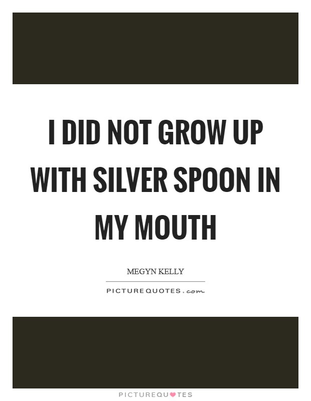 I did not grow up with silver spoon in my mouth Picture Quote #1