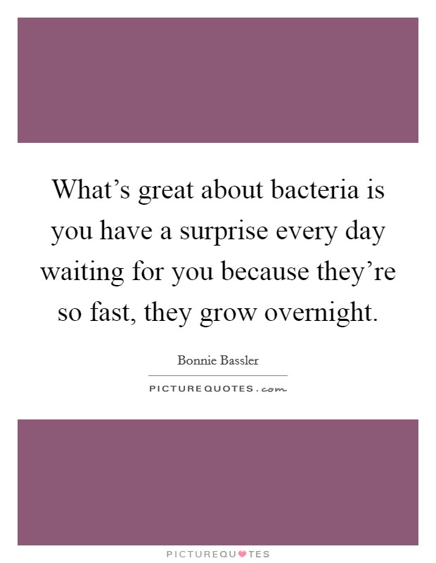 What's great about bacteria is you have a surprise every day waiting for you because they're so fast, they grow overnight. Picture Quote #1