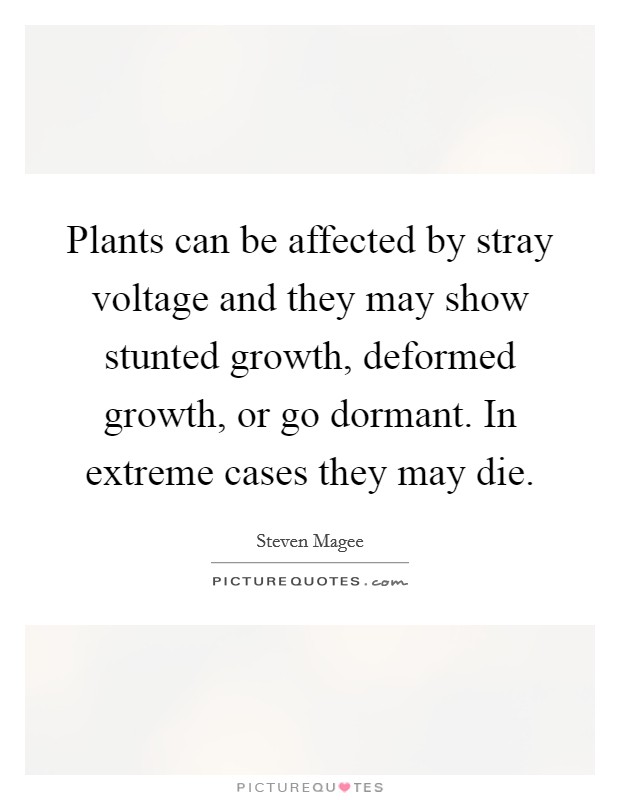 Plants can be affected by stray voltage and they may show stunted growth, deformed growth, or go dormant. In extreme cases they may die. Picture Quote #1