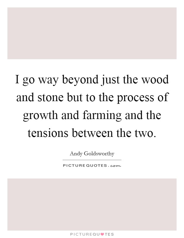 I go way beyond just the wood and stone but to the process of growth and farming and the tensions between the two. Picture Quote #1