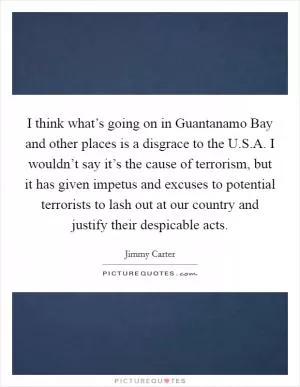 I think what’s going on in Guantanamo Bay and other places is a disgrace to the U.S.A. I wouldn’t say it’s the cause of terrorism, but it has given impetus and excuses to potential terrorists to lash out at our country and justify their despicable acts Picture Quote #1