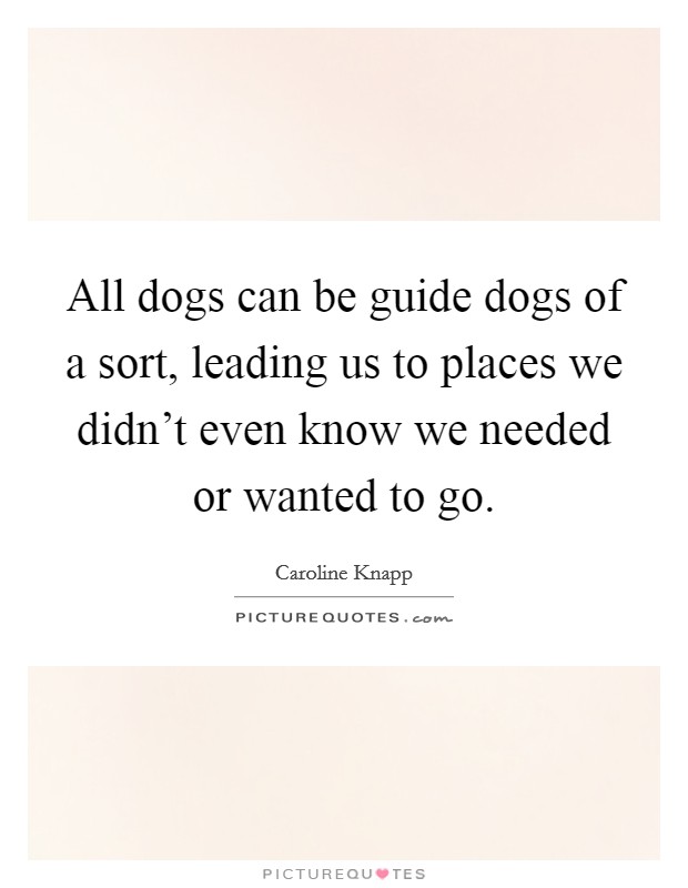 All dogs can be guide dogs of a sort, leading us to places we didn't even know we needed or wanted to go. Picture Quote #1