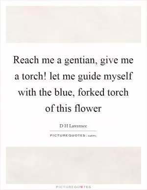 Reach me a gentian, give me a torch! let me guide myself with the blue, forked torch of this flower Picture Quote #1