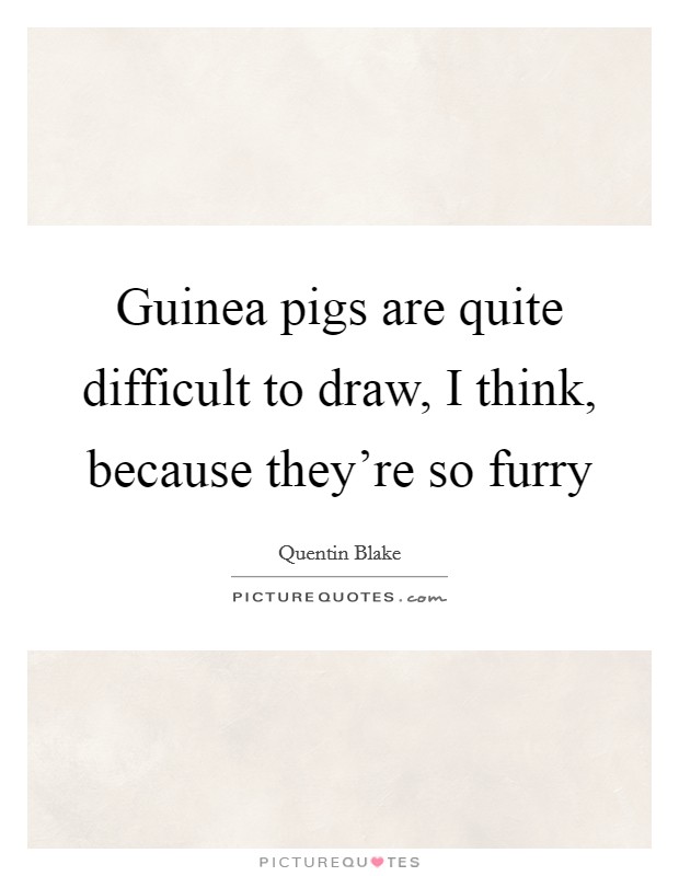 Guinea pigs are quite difficult to draw, I think, because they're so furry Picture Quote #1