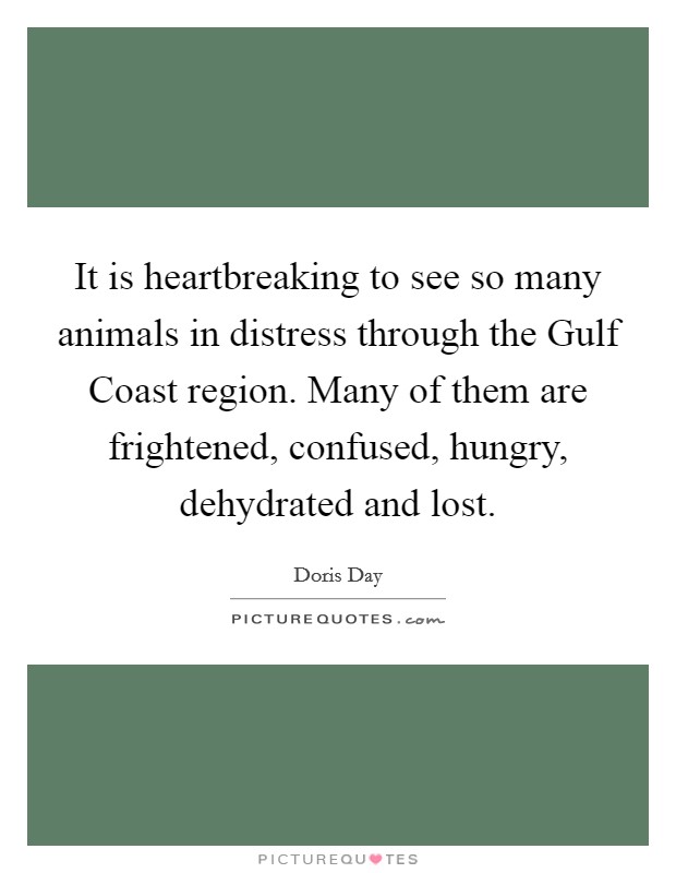 It is heartbreaking to see so many animals in distress through the Gulf Coast region. Many of them are frightened, confused, hungry, dehydrated and lost. Picture Quote #1