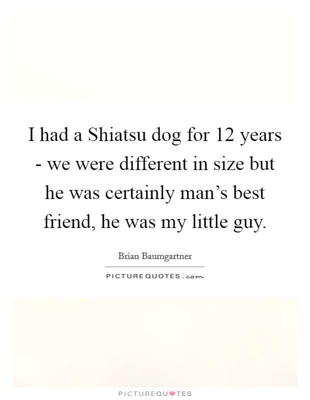 I had a Shiatsu dog for 12 years - we were different in size but he was certainly man's best friend, he was my little guy. Picture Quote #1