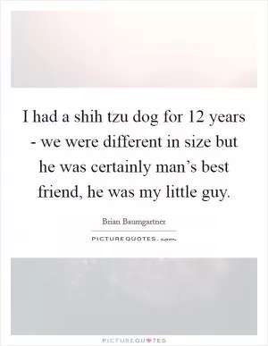 I had a shih tzu dog for 12 years - we were different in size but he was certainly man’s best friend, he was my little guy Picture Quote #1