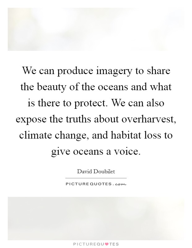 We can produce imagery to share the beauty of the oceans and what is there to protect. We can also expose the truths about overharvest, climate change, and habitat loss to give oceans a voice. Picture Quote #1