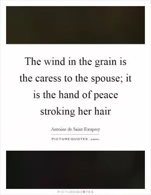 The wind in the grain is the caress to the spouse; it is the hand of peace stroking her hair Picture Quote #1