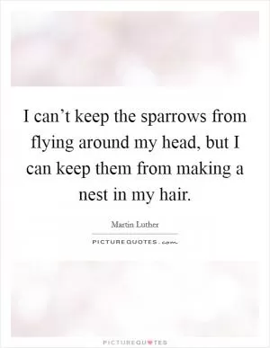 I can’t keep the sparrows from flying around my head, but I can keep them from making a nest in my hair Picture Quote #1