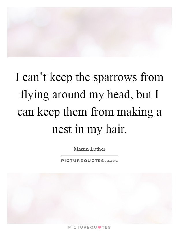 I can't keep the sparrows from flying around my head, but I can keep them from making a nest in my hair. Picture Quote #1