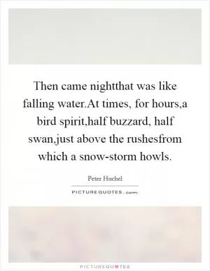 Then came nightthat was like falling water.At times, for hours,a bird spirit,half buzzard, half swan,just above the rushesfrom which a snow-storm howls Picture Quote #1