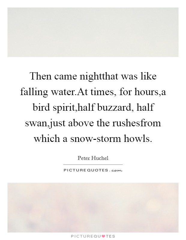 Then came nightthat was like falling water.At times, for hours,a bird spirit,half buzzard, half swan,just above the rushesfrom which a snow-storm howls. Picture Quote #1